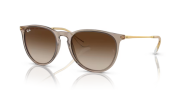Rayban 4171 674413 54 Kadın Güneş Gözlüğü