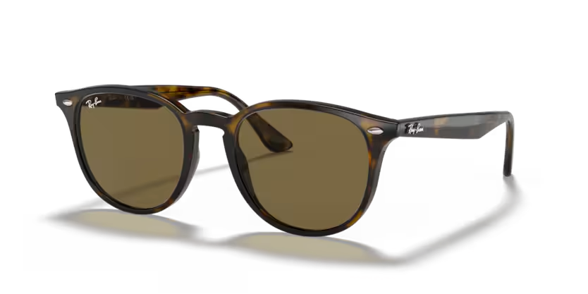Rayban 4259 710/73 51 Unisex Güneş Gözlüğü