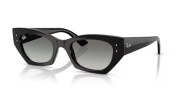 Rayban 4430 667711 49 Kadın Güneş Gözlüğü