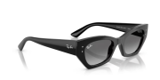 Rayban 4430 667711 49 Kadın Güneş Gözlüğü