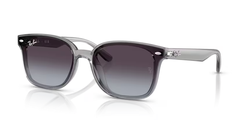 Rayban 4461D 64508G 64 Unisex Güneş Gözlüğü