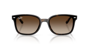 Rayban 4461D 710/13 64 Unisex Güneş Gözlüğü