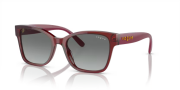 Vogue 5534SI 292411 53 Kadın Güneş Gözlüğü