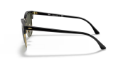 Rayban 3016 W0365 51 Unisex Güneş Gözlüğü