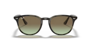 Rayban 4259 731/E8 51 Unisex Güneş Gözlüğü