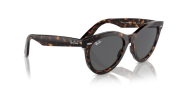 Rayban 2241 902/B1 54 Unisex Güneş Gözlüğü